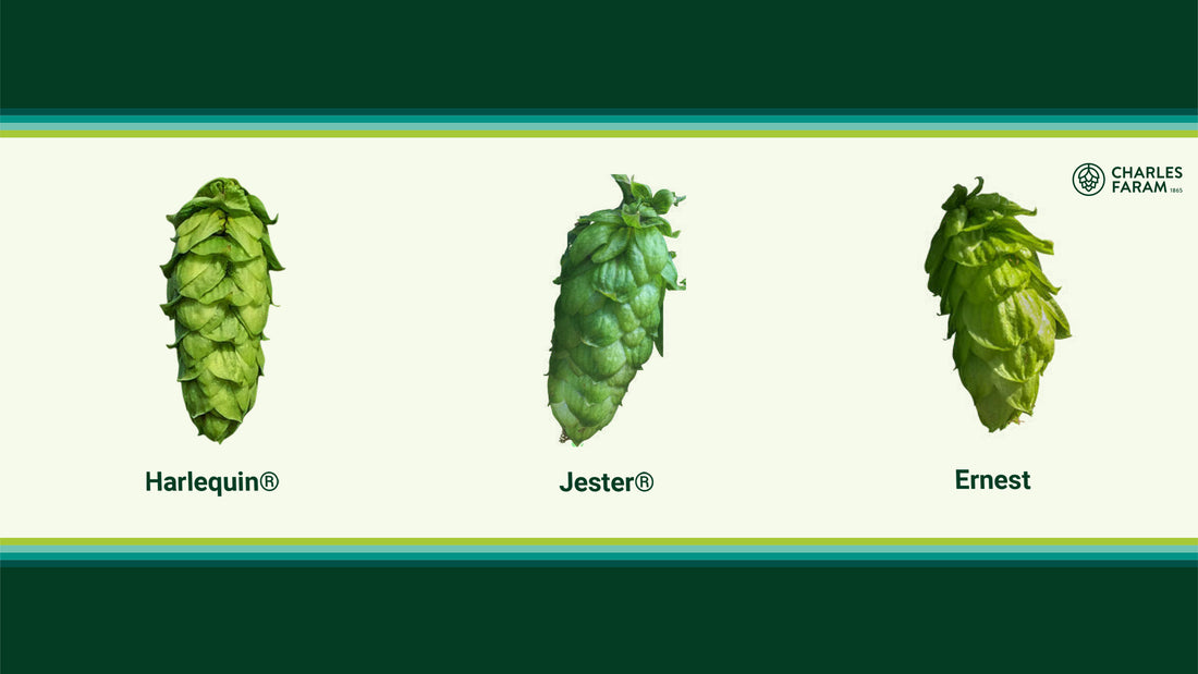 Hop varieties bridging the gap between old and new world